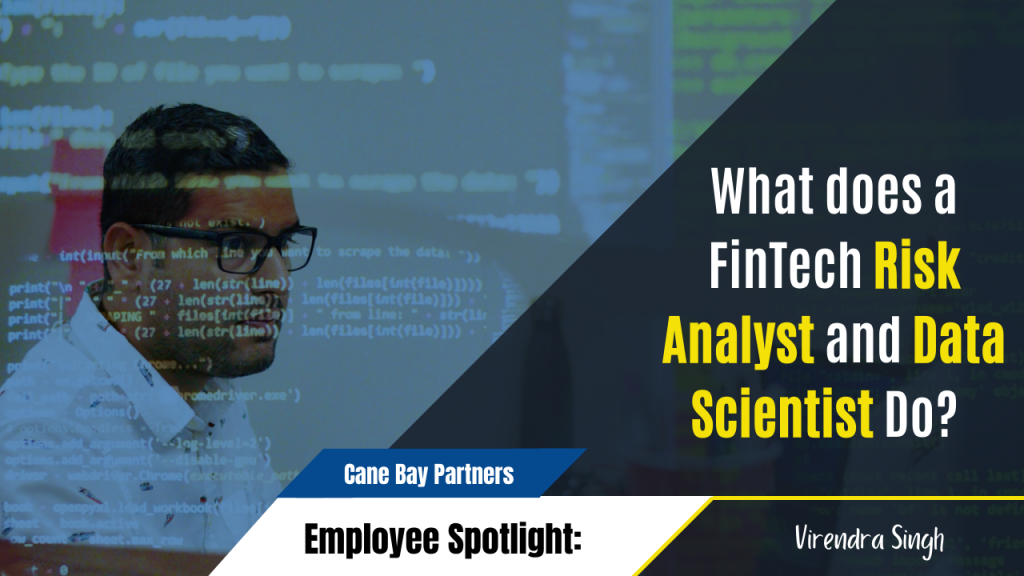 What does a FinTech Risk Analyst and Data Scientist Do - Cane Bay Partners